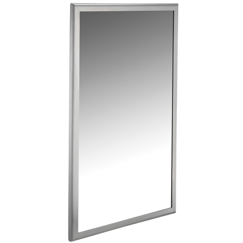 Stainless Steel Mirror